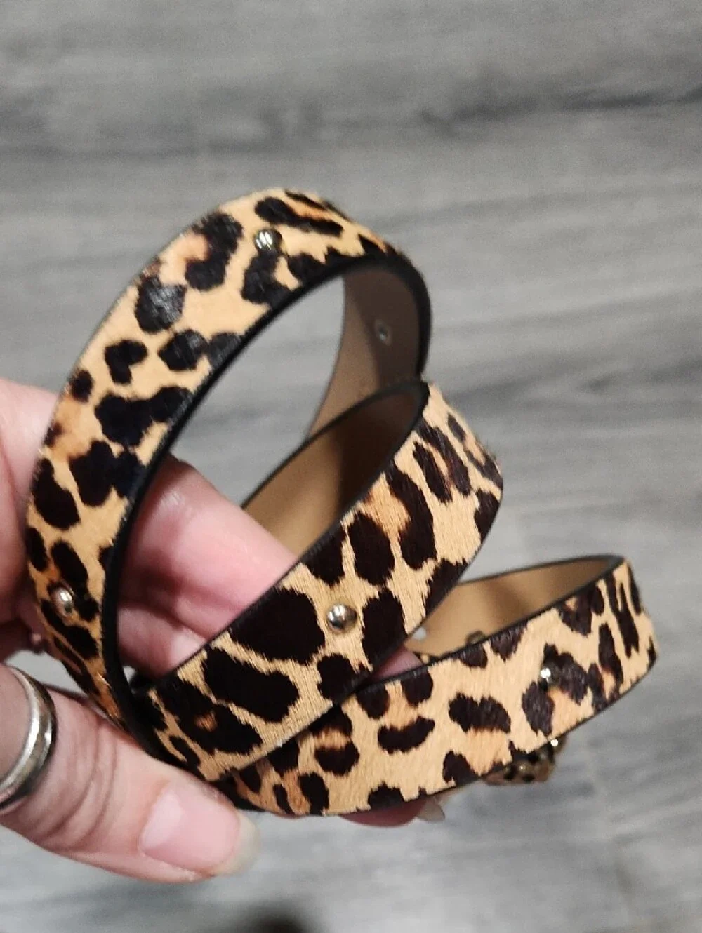 Leopard Print Calf Hair Kate Spade In The Loop Belt with Panther Head Buckle